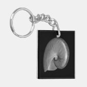 黒白ナウティラス貝 キーホルダー (正面左)