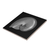 黒白ナウティラス貝 タイル (側面)