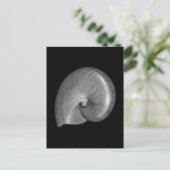 黒白ナウティラス貝 ポストカード (スタンド正面)