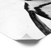 黒白ペンギン フォトプリント            (角)