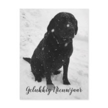 黒白写真　幸せな新年　クリスマスカード