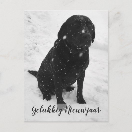 黒白写真　幸せな新年　クリスマスカード ポストカード (正面)