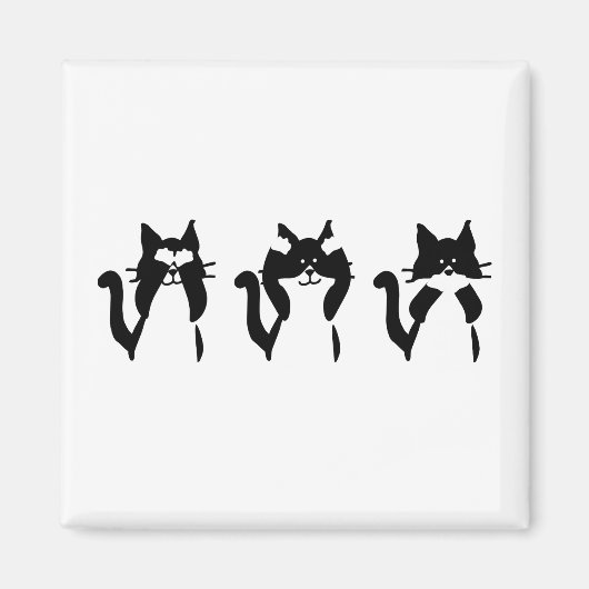 黒白猫｜三匹の賢い子猫 マグネット (正面)