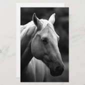 黒白馬 便箋 (正面/裏面)