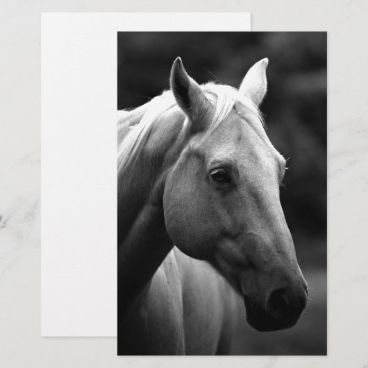 黒白馬 便箋 (正面/裏面)