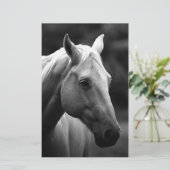 黒白馬 便箋 (スタンド正面)