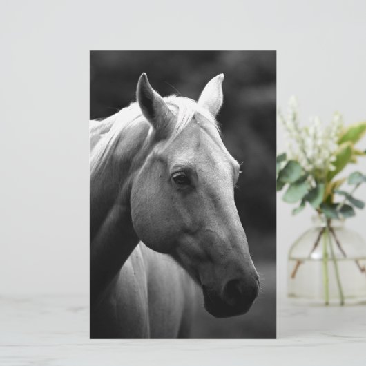 黒白馬 便箋 (スタンド正面)