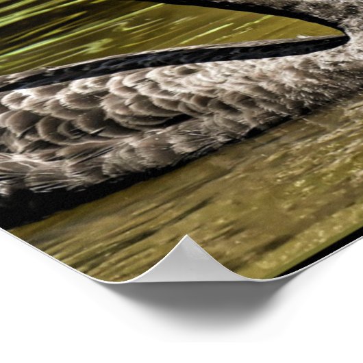 黒白鳥 ポスター (角)