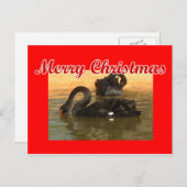 黒白鳥 ポストカード (正面/裏面)