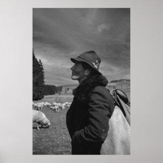 黒白1968年ドイツ羊の牧民 ポスター