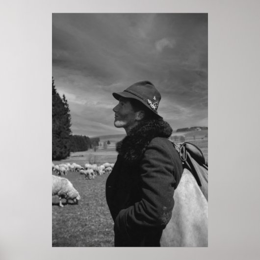 黒白1968年ドイツ羊の牧民 ポスター (正面)