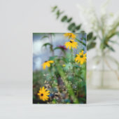 黒目のサザンの集中不足 ポストカード (スタンド正面)