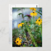 黒目のサザンの集中不足 ポストカード (正面/裏面)