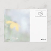 黒目のサザンの集中不足 ポストカード (裏面)