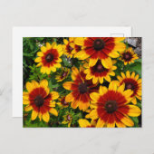 黒目のサザンズ ポストカード (正面/裏面)