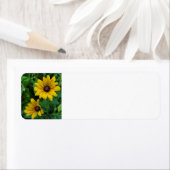 黒目のサザンズ ラベル (インサイチュ)