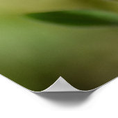 黒目スーザンフラワー写真 ポスター (角)