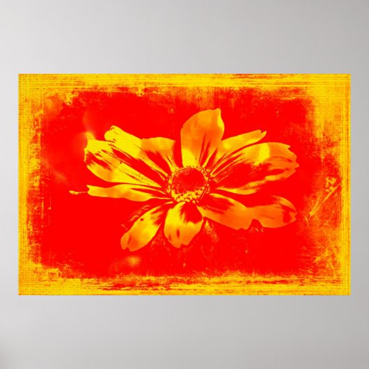 黒目スーザンワイルドフラワー – デジタルアート ポスター (正面)