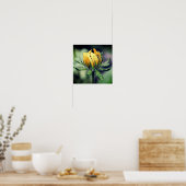 黒目スーザン目覚め ポスター (キッチン)