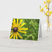 黒目スーザン カード (黄色い花)