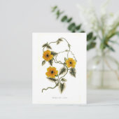 黒目スーザン ポストカード (スタンド正面)