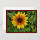 黒目スーザン ポストカード (正面/裏面)