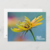 黒目スーザン ポストカード (正面/裏面)