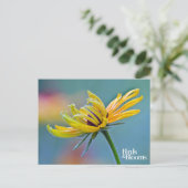 黒目スーザン ポストカード (スタンド正面)