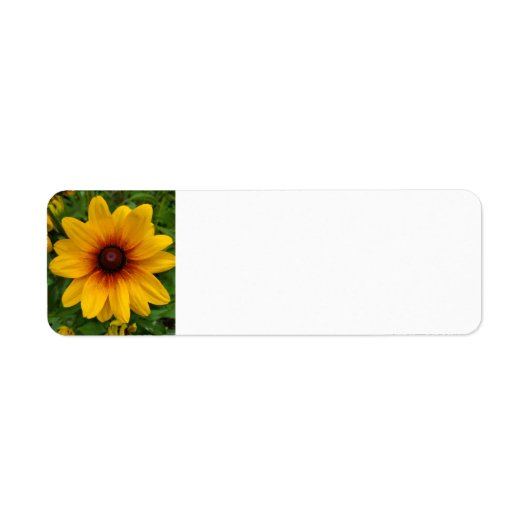 黒目スーザン ラベル (正面)