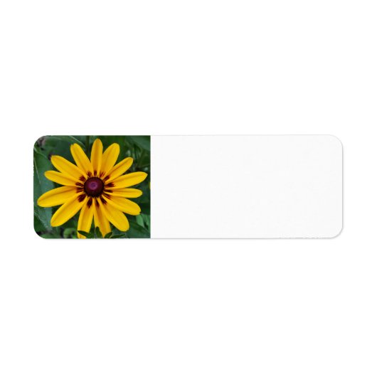 黒目スーザン ラベル (正面)