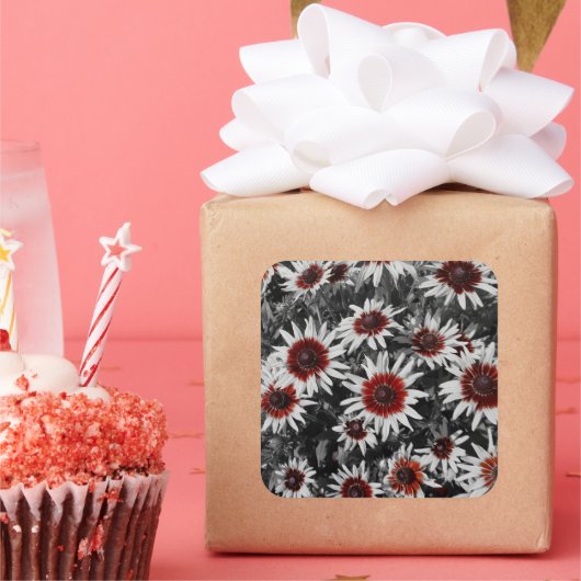 黒目素晴らしのサザン スクエアシール (パーティー)