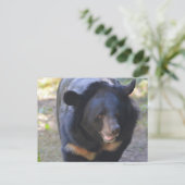 黒眼鏡クマ ポストカード (スタンド正面)