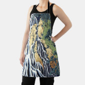 黒神山宝西付近の切振の滝 エプロン (インサイチュ)