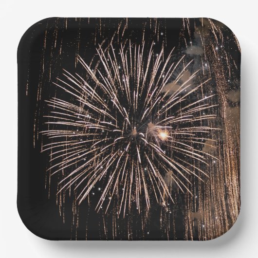 黒空に花火を表示 ペーパープレート (正面)