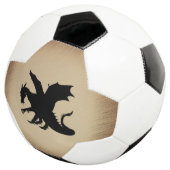 黒竜の風景背景 サッカーボール (3/4)
