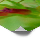 黒紋付きタイトマウス ポスター (角)