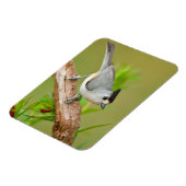 黒紋付きタイトマウス マグネット (左側)