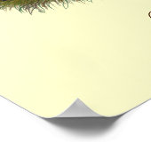 黒紋付アヒル科 ポスター (角)