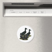 黒紋付アヒル科 マグネット (インサイチュ (食洗機))