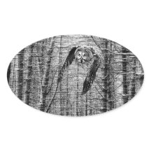 黒素晴らしと白のシールの灰色フクロウ