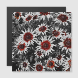 黒素晴らし目ササンズ磁気カード