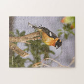 黒素晴らし頭グロスビーチソンバードオンブランチ ジグソーパズル (横)