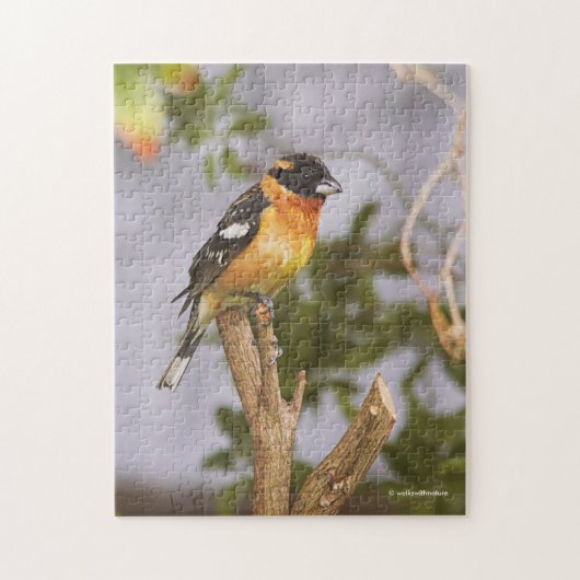 黒素晴らし頭グロスビーチソンバードオンブランチ ジグソーパズル (縦)