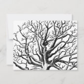 黒素朴と白の抽象芸術ツリーの枝 ノートカード (裏面)