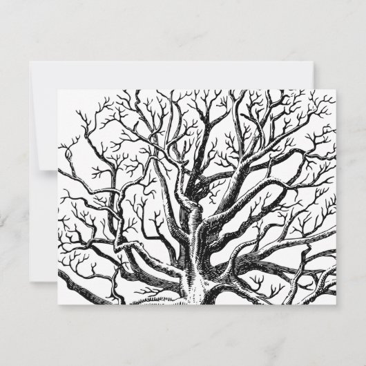 黒素朴と白の抽象芸術ツリーの枝 ノートカード (裏面)
