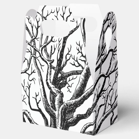 黒素朴と白の抽象芸術ツリーの枝 フェイバーボックス (オープン)