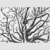 黒素朴と白の抽象芸術ツリーの枝 薄葉紙 (正面)