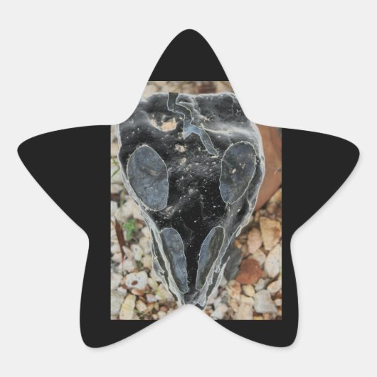 黒絵を描スカル 星シール (正面)