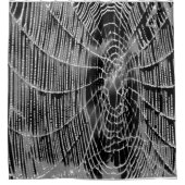 黒絵画色の灰色の白いクモの巣 シャワーカーテン (正面)