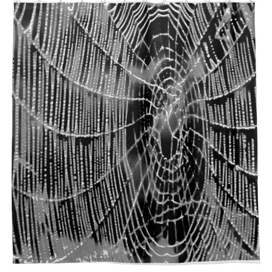 黒絵画色の灰色の白いクモの巣 シャワーカーテン (正面)